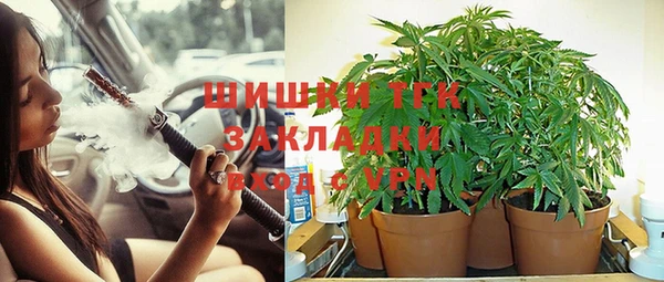 мдпв Верея