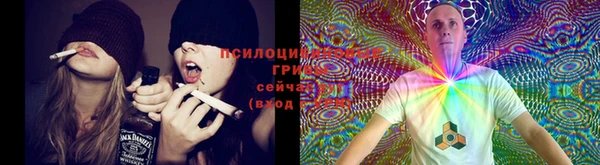 мдпв Верея