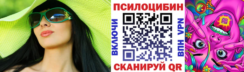 Псилоцибиновые грибы мицелий  магазин продажи наркотиков  Махачкала 